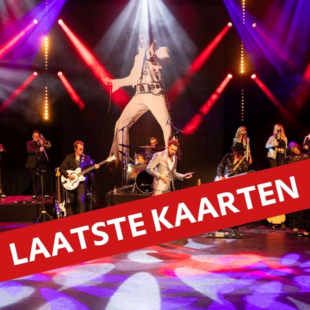 BOUKE & DE ELVISMATTERS BAND