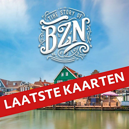 The Story of BZN